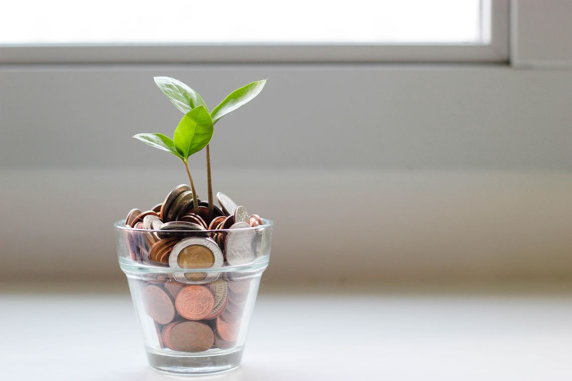 A plant grows from a glass cup of coins.